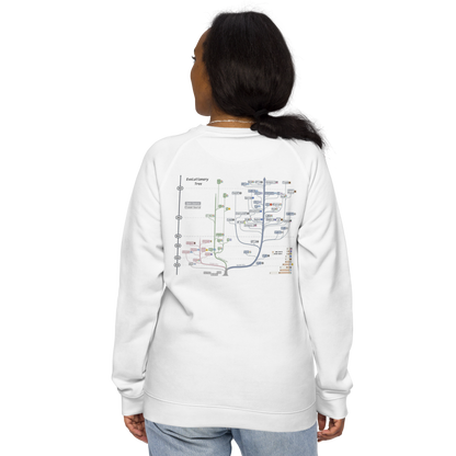 AI Evolutionary Tree Unisex organic raglan sweatshirt