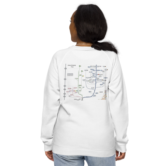 AI Evolutionary Tree Unisex organic raglan sweatshirt